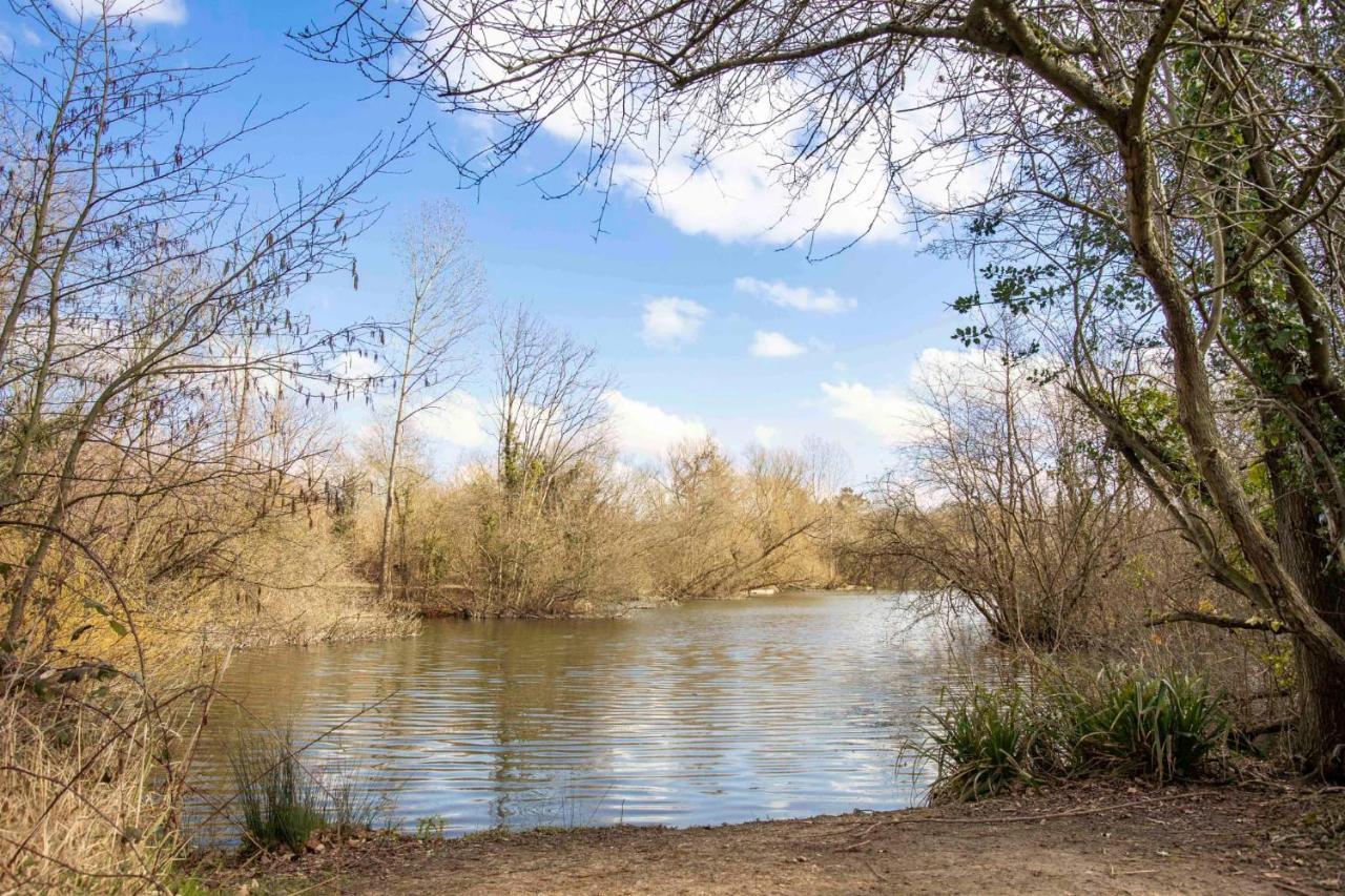 Stunning Character 2Bed Cottage In St Albans Wifi المظهر الخارجي الصورة